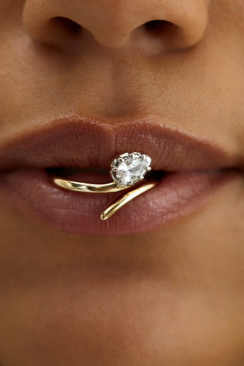Drew Ring