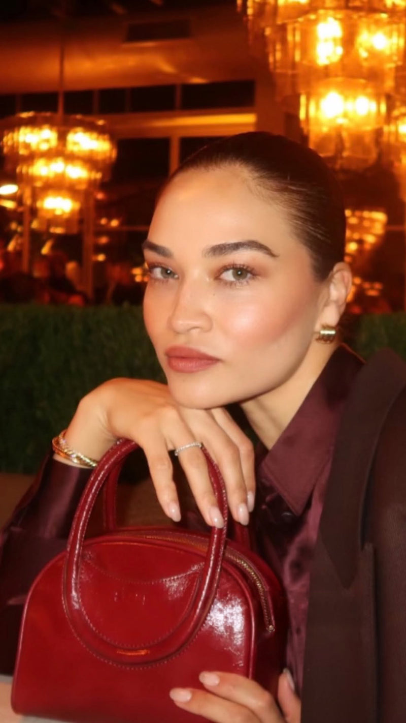 Small Elsa Shiled @shaninamshaik