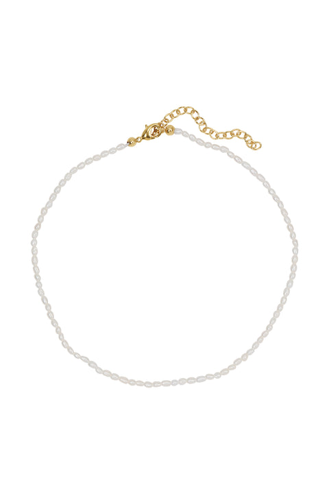 Petite Kate Anklet